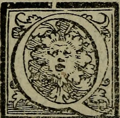 An illustration from Epitomes omnium Galeni Pergameni operum, vniuersam illius viri doctrinam, & methodu[m], quàm accuratissimè contine[n]tis, sectio prima-[quarta], 1548, leaf 449