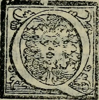 An illustration from Epitomes omnium Galeni Pergameni operum, vniuersam illius viri doctrinam, & methodu[m], quàm accuratissimè contine[n]tis, sectio prima-[quarta], 1548, leaf 488