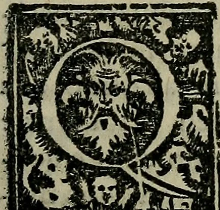 An illustration from Epitomes omnium Galeni Pergameni operum, vniuersam illius viri doctrinam, & methodu[m], quàm accuratissimè contine[n]tis, sectio prima-[quarta], 1548, leaf 500