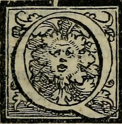An illustration from Epitomes omnium Galeni Pergameni operum, vniuersam illius viri doctrinam, & methodu[m], quàm accuratissimè contine[n]tis, sectio prima-[quarta], 1548, leaf 522