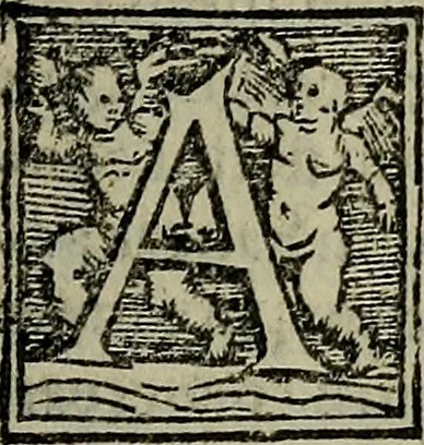 An illustration from Epitomes omnium Galeni Pergameni operum, vniuersam illius viri doctrinam, & methodu[m], quàm accuratissimè contine[n]tis, sectio prima-[quarta], 1548, leaf 536