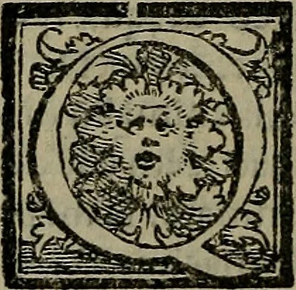 An illustration from Epitomes omnium Galeni Pergameni operum, vniuersam illius viri doctrinam, & methodu[m], quàm accuratissimè contine[n]tis, sectio prima-[quarta], 1548, leaf 549
