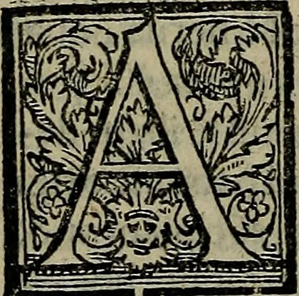 An illustration from Epitomes omnium Galeni Pergameni operum, vniuersam illius viri doctrinam, & methodu[m], quàm accuratissimè contine[n]tis, sectio prima-[quarta], 1548, leaf 555