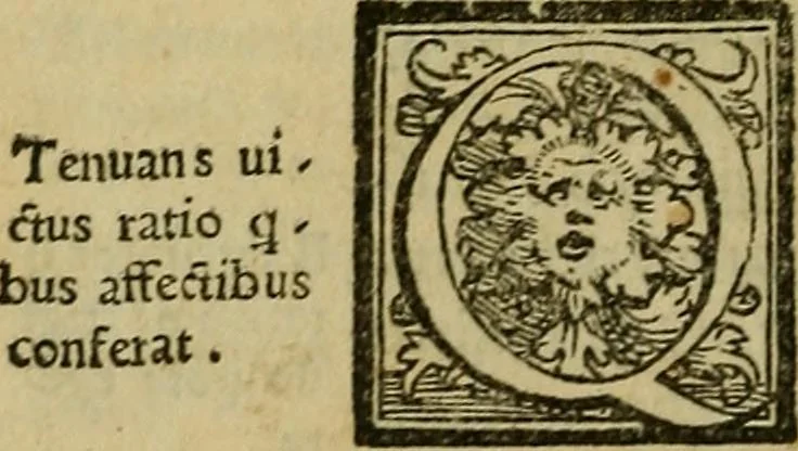An illustration from Epitomes omnium Galeni Pergameni operum, vniuersam illius viri doctrinam, & methodu[m], quàm accuratissimè contine[n]tis, sectio prima-[quarta], 1548, leaf 105