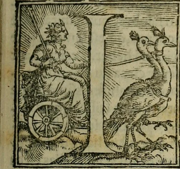 An illustration from Epitomes omnium Galeni Pergameni operum, vniuersam illius viri doctrinam, & methodu[m], quàm accuratissimè contine[n]tis, sectio prima-[quarta], 1548, leaf 12