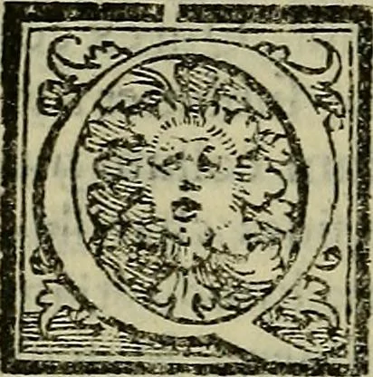 An illustration from Epitomes omnium Galeni Pergameni operum, vniuersam illius viri doctrinam, & methodu[m], quàm accuratissimè contine[n]tis, sectio prima-[quarta], 1548, leaf 233