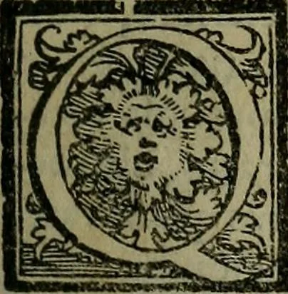 An illustration from Epitomes omnium Galeni Pergameni operum, vniuersam illius viri doctrinam, & methodu[m], quàm accuratissimè contine[n]tis, sectio prima-[quarta], 1548, leaf 282