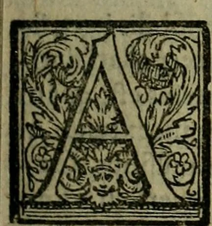 An illustration from Epitomes omnium Galeni Pergameni operum, vniuersam illius viri doctrinam, & methodu[m], quàm accuratissimè contine[n]tis, sectio prima-[quarta], 1548, leaf 312