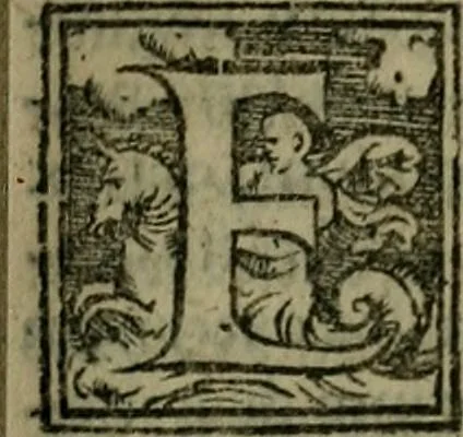 An illustration from Epitomes omnium Galeni Pergameni operum, vniuersam illius viri doctrinam, & methodu[m], quàm accuratissimè contine[n]tis, sectio prima-[quarta], 1548, leaf 336