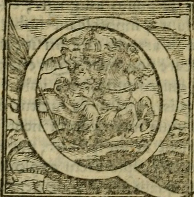 An illustration from Epitomes omnium Galeni Pergameni operum, vniuersam illius viri doctrinam, & methodu[m], quàm accuratissimè contine[n]tis, sectio prima-[quarta], 1548, leaf 339