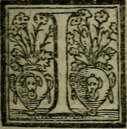An illustration from Epitomes omnium Galeni Pergameni operum, vniuersam illius viri doctrinam, & methodu[m], quàm accuratissimè contine[n]tis, sectio prima-[quarta], 1548, leaf 352