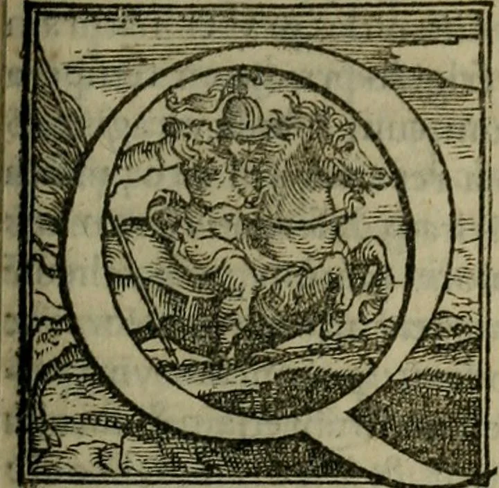 An illustration from Epitomes omnium Galeni Pergameni operum, vniuersam illius viri doctrinam, & methodu[m], quàm accuratissimè contine[n]tis, sectio prima-[quarta], 1548, leaf 364