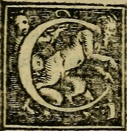 An illustration from Epitomes omnium Galeni Pergameni operum, vniuersam illius viri doctrinam, & methodu[m], quàm accuratissimè contine[n]tis, sectio prima-[quarta], 1548, leaf 399