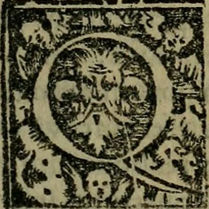 An illustration from Epitomes omnium Galeni Pergameni operum, vniuersam illius viri doctrinam, & methodu[m], quàm accuratissimè contine[n]tis, sectio prima-[quarta], 1548, leaf 498