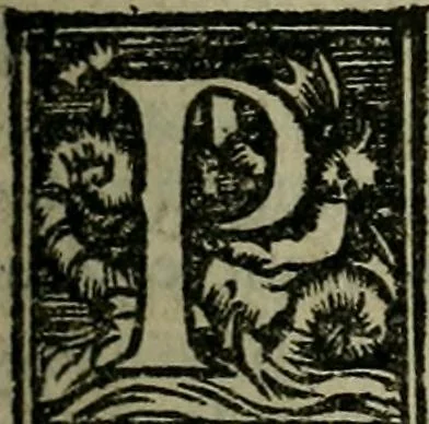 An illustration from Epitomes omnium Galeni Pergameni operum, vniuersam illius viri doctrinam, & methodu[m], quàm accuratissimè contine[n]tis, sectio prima-[quarta], 1548, leaf 68