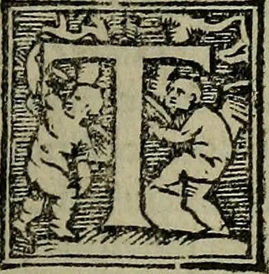 An illustration from Epitomes omnium Galeni Pergameni operum, vniuersam illius viri doctrinam, & methodu[m], quàm accuratissimè contine[n]tis, sectio prima-[quarta], 1548, leaf 144