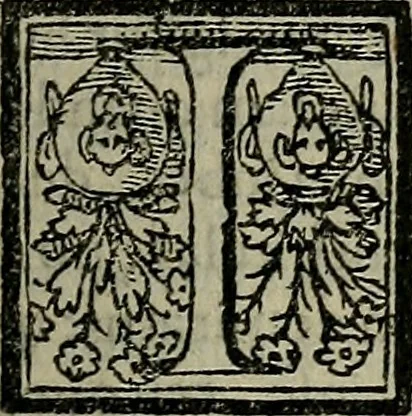 An illustration from Epitomes omnium Galeni Pergameni operum, vniuersam illius viri doctrinam, & methodu[m], quàm accuratissimè contine[n]tis, sectio prima-[quarta], 1548, leaf 156