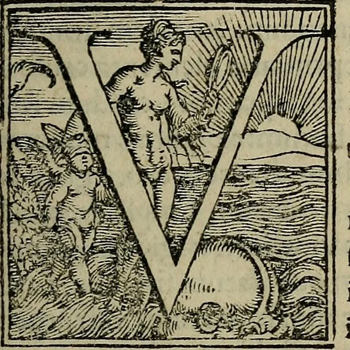 An illustration from Epitomes omnium Galeni Pergameni operum, vniuersam illius viri doctrinam, & methodu[m], quàm accuratissimè contine[n]tis, sectio prima-[quarta], 1548, leaf 20