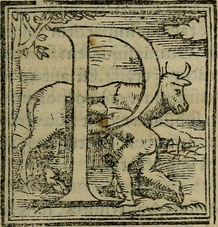 An illustration from Epitomes omnium Galeni Pergameni operum, vniuersam illius viri doctrinam, & methodu[m], quàm accuratissimè contine[n]tis, sectio prima-[quarta], 1548, leaf 230