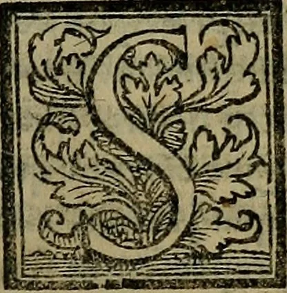 An illustration from Epitomes omnium Galeni Pergameni operum, vniuersam illius viri doctrinam, & methodu[m], quàm accuratissimè contine[n]tis, sectio prima-[quarta], 1548, leaf 246