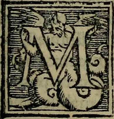 An illustration from Epitomes omnium Galeni Pergameni operum, vniuersam illius viri doctrinam, & methodu[m], quàm accuratissimè contine[n]tis, sectio prima-[quarta], 1548, leaf 266