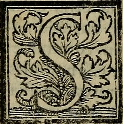 An illustration from Epitomes omnium Galeni Pergameni operum, vniuersam illius viri doctrinam, & methodu[m], quàm accuratissimè contine[n]tis, sectio prima-[quarta], 1548, leaf 347