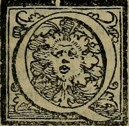 An illustration from Epitomes omnium Galeni Pergameni operum, vniuersam illius viri doctrinam, & methodu[m], quàm accuratissimè contine[n]tis, sectio prima-[quarta], 1548, leaf 416