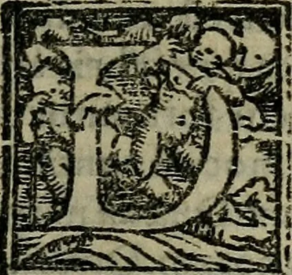 An illustration from Epitomes omnium Galeni Pergameni operum, vniuersam illius viri doctrinam, & methodu[m], quàm accuratissimè contine[n]tis, sectio prima-[quarta], 1548, leaf 430