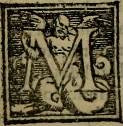 An illustration from Epitomes omnium Galeni Pergameni operum, vniuersam illius viri doctrinam, & methodu[m], quàm accuratissimè contine[n]tis, sectio prima-[quarta], 1548, leaf 459