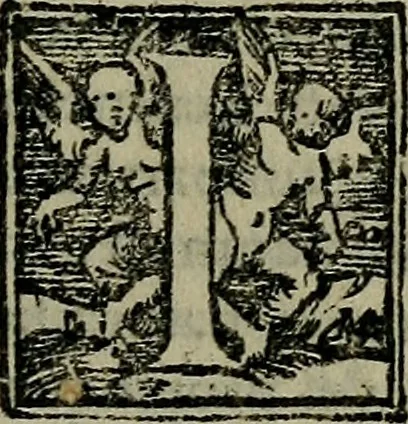 An illustration from Epitomes omnium Galeni Pergameni operum, vniuersam illius viri doctrinam, & methodu[m], quàm accuratissimè contine[n]tis, sectio prima-[quarta], 1548, leaf 492
