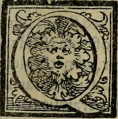 An illustration from Epitomes omnium Galeni Pergameni operum, vniuersam illius viri doctrinam, & methodu[m], quàm accuratissimè contine[n]tis, sectio prima-[quarta], 1548, leaf 52