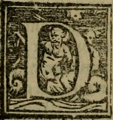 An illustration from Epitomes omnium Galeni Pergameni operum, vniuersam illius viri doctrinam, & methodu[m], quàm accuratissimè contine[n]tis, sectio prima-[quarta], 1548, leaf 553