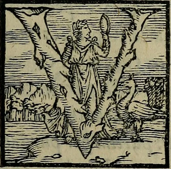An illustration from Epitomes omnium Galeni Pergameni operum, vniuersam illius viri doctrinam, & methodu[m], quàm accuratissimè contine[n]tis, sectio prima-[quarta], 1548, leaf 578