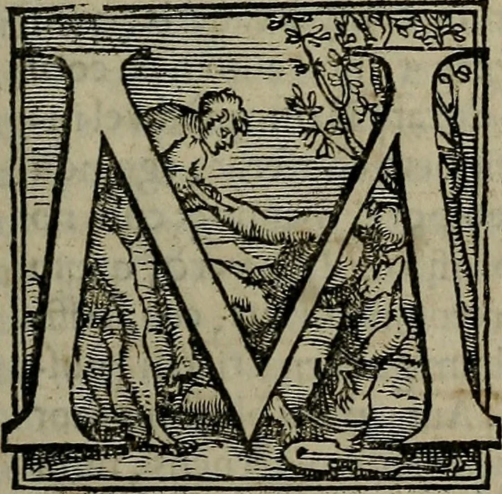 An illustration from Epitomes omnium Galeni Pergameni operum, vniuersam illius viri doctrinam, & methodu[m], quàm accuratissimè contine[n]tis, sectio prima-[quarta], 1548, leaf 580