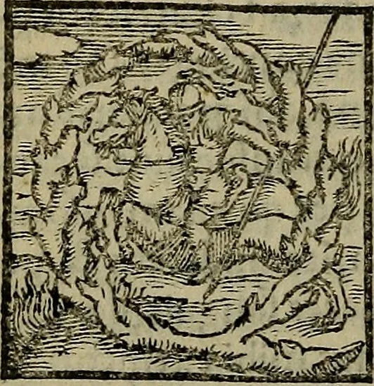 An illustration from Epitomes omnium Galeni Pergameni operum, vniuersam illius viri doctrinam, & methodu[m], quàm accuratissimè contine[n]tis, sectio prima-[quarta], 1548, leaf 605