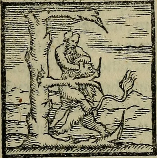 An illustration from Epitomes omnium Galeni Pergameni operum, vniuersam illius viri doctrinam, & methodu[m], quàm accuratissimè contine[n]tis, sectio prima-[quarta], 1548, leaf 608