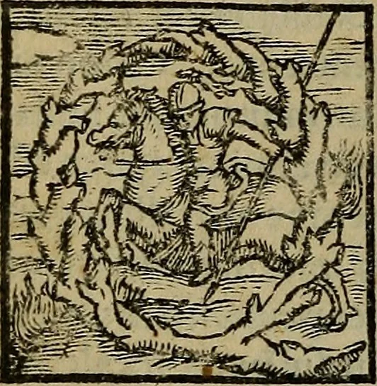 An illustration from Epitomes omnium Galeni Pergameni operum, vniuersam illius viri doctrinam, & methodu[m], quàm accuratissimè contine[n]tis, sectio prima-[quarta], 1548, leaf 621