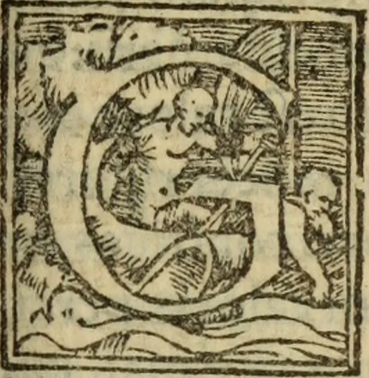 An illustration from Epitomes omnium Galeni Pergameni operum, vniuersam illius viri doctrinam, & methodu[m], quàm accuratissimè contine[n]tis, sectio prima-[quarta], 1548, leaf 104