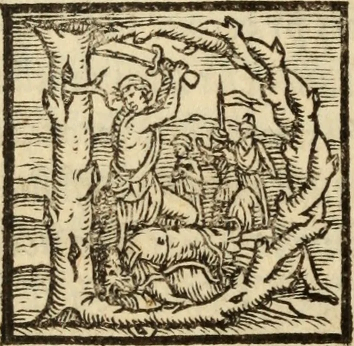 An illustration from Epitomes omnium Galeni Pergameni operum, vniuersam illius viri doctrinam, & methodu[m], quàm accuratissimè contine[n]tis, sectio prima-[quarta], 1548, leaf 11