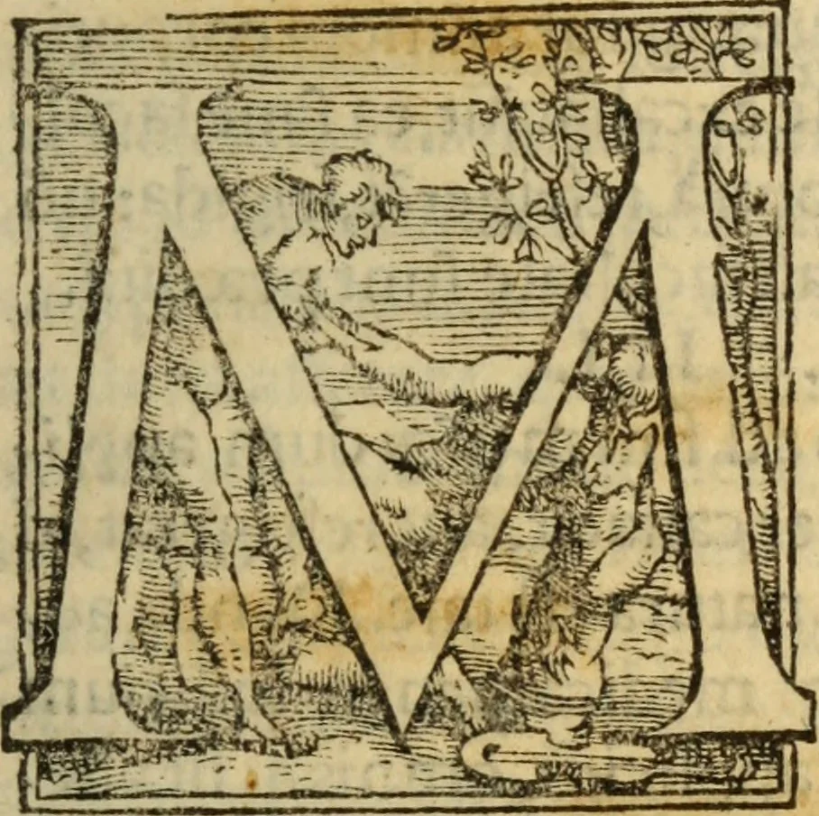 An illustration from Epitomes omnium Galeni Pergameni operum, vniuersam illius viri doctrinam, & methodu[m], quàm accuratissimè contine[n]tis, sectio prima-[quarta], 1548, leaf 12