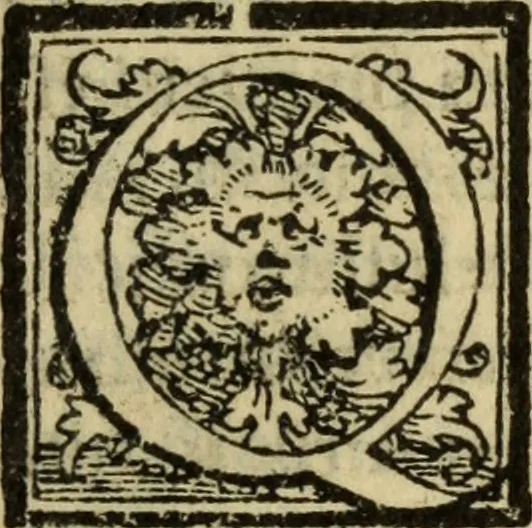 An illustration from Epitomes omnium Galeni Pergameni operum, vniuersam illius viri doctrinam, & methodu[m], quàm accuratissimè contine[n]tis, sectio prima-[quarta], 1548, leaf 192