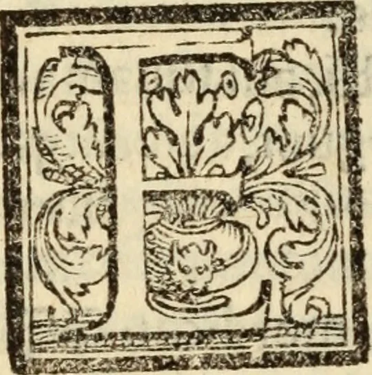 An illustration from Epitomes omnium Galeni Pergameni operum, vniuersam illius viri doctrinam, & methodu[m], quàm accuratissimè contine[n]tis, sectio prima-[quarta], 1548, leaf 213