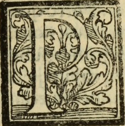 An illustration from Epitomes omnium Galeni Pergameni operum, vniuersam illius viri doctrinam, & methodu[m], quàm accuratissimè contine[n]tis, sectio prima-[quarta], 1548, leaf 226