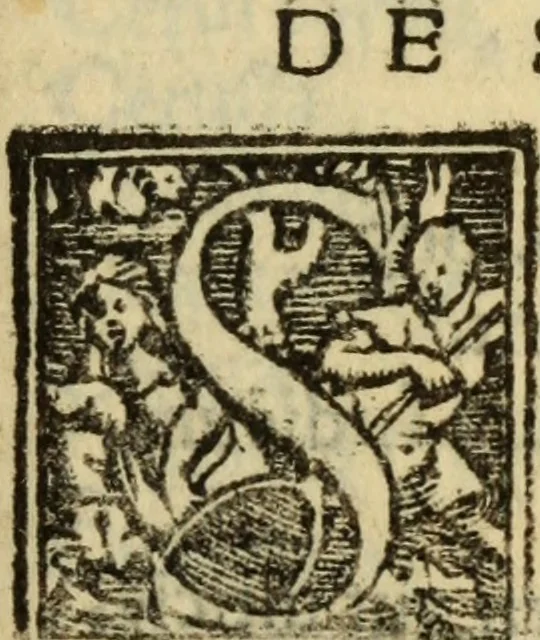 An illustration from Epitomes omnium Galeni Pergameni operum, vniuersam illius viri doctrinam, & methodu[m], quàm accuratissimè contine[n]tis, sectio prima-[quarta], 1548, leaf 244