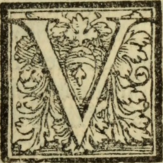 An illustration from Epitomes omnium Galeni Pergameni operum, vniuersam illius viri doctrinam, & methodu[m], quàm accuratissimè contine[n]tis, sectio prima-[quarta], 1548, leaf 264