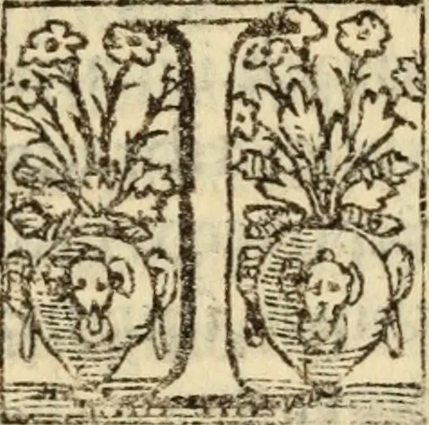 An illustration from Epitomes omnium Galeni Pergameni operum, vniuersam illius viri doctrinam, & methodu[m], quàm accuratissimè contine[n]tis, sectio prima-[quarta], 1548, leaf 305