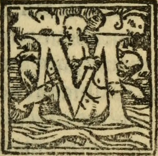 An illustration from Epitomes omnium Galeni Pergameni operum, vniuersam illius viri doctrinam, & methodu[m], quàm accuratissimè contine[n]tis, sectio prima-[quarta], 1548, leaf 310