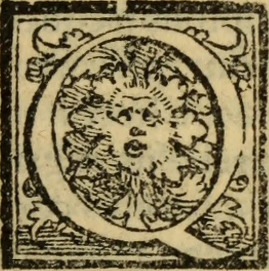 An illustration from Epitomes omnium Galeni Pergameni operum, vniuersam illius viri doctrinam, & methodu[m], quàm accuratissimè contine[n]tis, sectio prima-[quarta], 1548, leaf 320