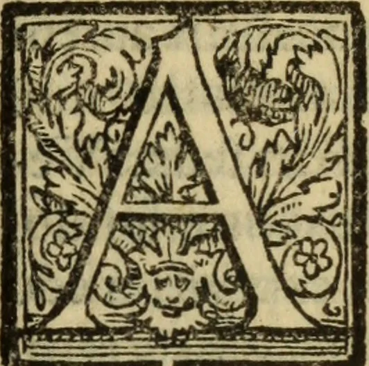 An illustration from Epitomes omnium Galeni Pergameni operum, vniuersam illius viri doctrinam, & methodu[m], quàm accuratissimè contine[n]tis, sectio prima-[quarta], 1548, leaf 354