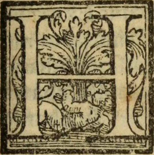 An illustration from Epitomes omnium Galeni Pergameni operum, vniuersam illius viri doctrinam, & methodu[m], quàm accuratissimè contine[n]tis, sectio prima-[quarta], 1548, leaf 380
